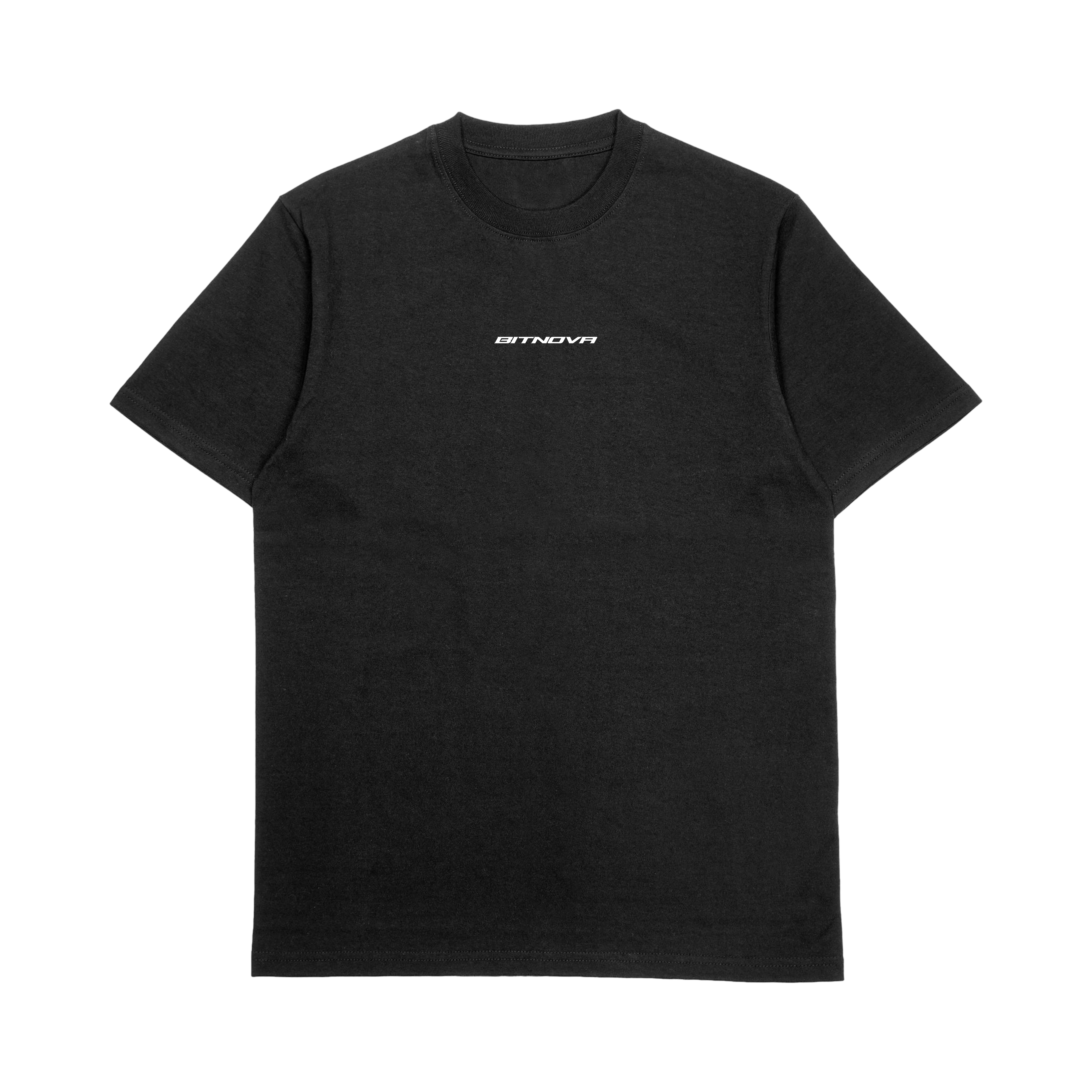 NEED MONEY - HEAVY TEE (ANNEX)