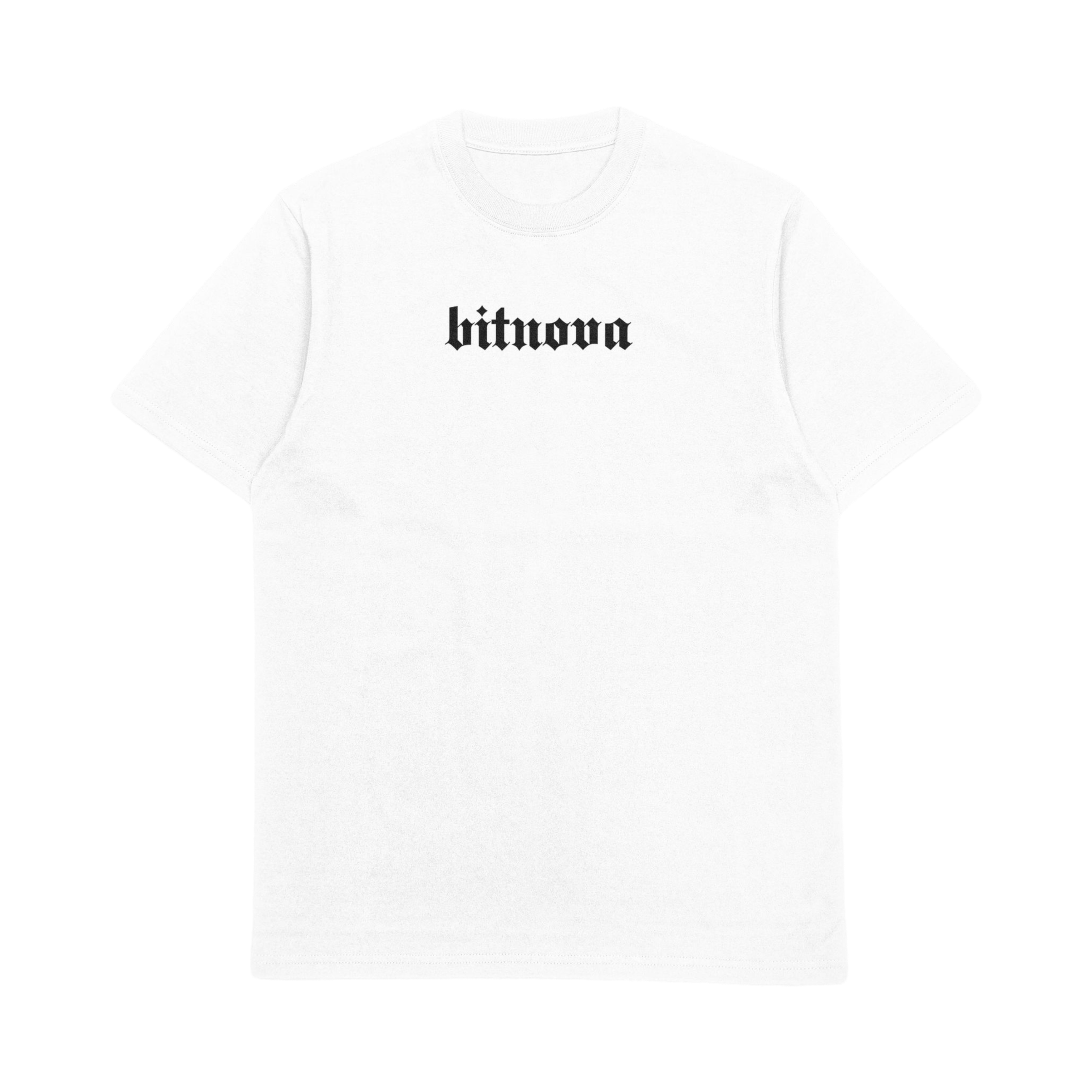 BURN ALL FIAT MONEY - HEAVY TEE